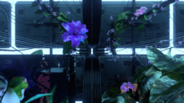 Pierre Allain-Longval