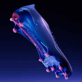 Pierre Allain-Longval